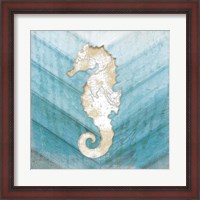 Framed Coastal Seahorse