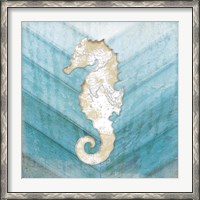 Framed Coastal Seahorse