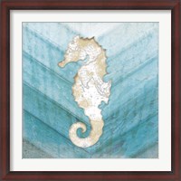 Framed Coastal Seahorse