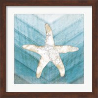 Framed 'Coastal Starfish' border=