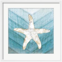 Framed Coastal Starfish