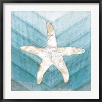 Framed Coastal Starfish