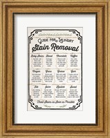 Framed Stain Removal Guide