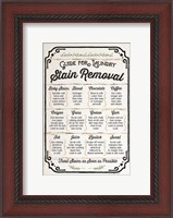 Framed Stain Removal Guide