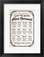 Framed Stain Removal Guide