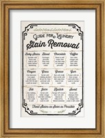 Framed Stain Removal Guide