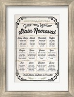 Framed Stain Removal Guide