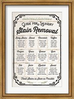 Framed Stain Removal Guide