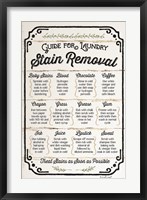 Framed Stain Removal Guide