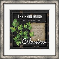Framed 'Herb Guide Cilantro' border=