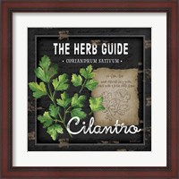 Framed Herb Guide Cilantro