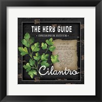 Framed 'Herb Guide Cilantro' border=