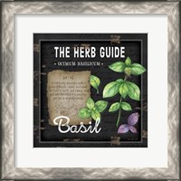 Framed Herb Guide Basil