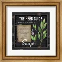 Framed 'Herb Guide Sage' border=