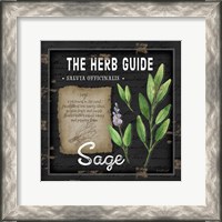 Framed Herb Guide Sage