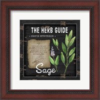 Framed Herb Guide Sage