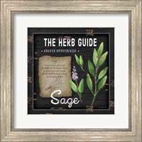 Framed 'Herb Guide Sage' border=