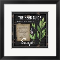 Framed 'Herb Guide Sage' border=