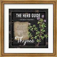 Framed Herb Guide Thyme