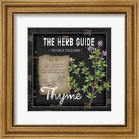 Framed Herb Guide Thyme