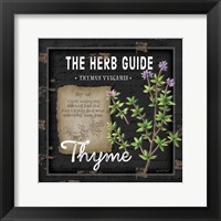 Framed 'Herb Guide Thyme' border=