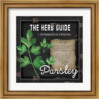 Framed 'Herb Guide Parsley' border=