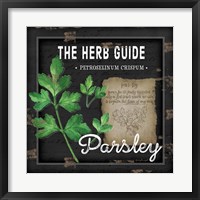 Framed Herb Guide Parsley