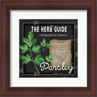 Framed Herb Guide Parsley