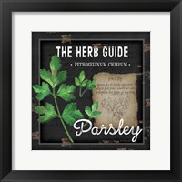 Framed 'Herb Guide Parsley' border=