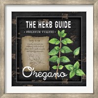 Framed Herb Guide Oregano