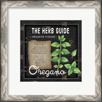Framed 'Herb Guide Oregano' border=