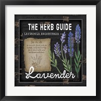 Framed 'Herb Guide Lavender' border=