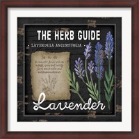 Framed Herb Guide Lavender