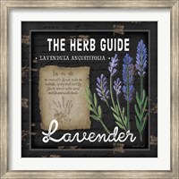 Framed Herb Guide Lavender