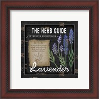 Framed 'Herb Guide Lavender' border=