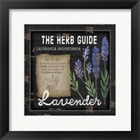 Framed 'Herb Guide Lavender' border=