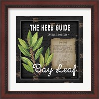 Framed 'Herb Guide Bay Leaf' border=