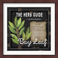 Framed Herb Guide Bay Leaf