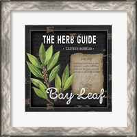 Framed Herb Guide Bay Leaf
