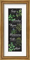 Framed Herbs