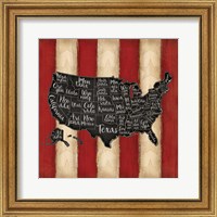 Framed United States II