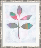 Framed Leaf Abstract III