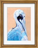 Framed Blue and White Pelican