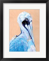 Framed Blue and White Pelican