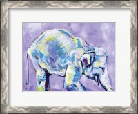 Framed Elephant I