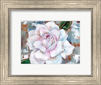 Framed Rose