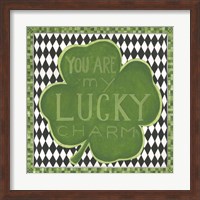 Framed Lucky Charm