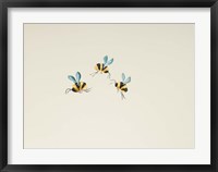 Framed 3 Bees