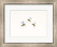 Framed 3 Bees on White