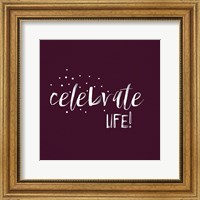 Framed Celebrate Life